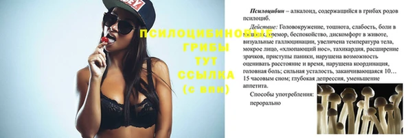 гидропоника Абинск