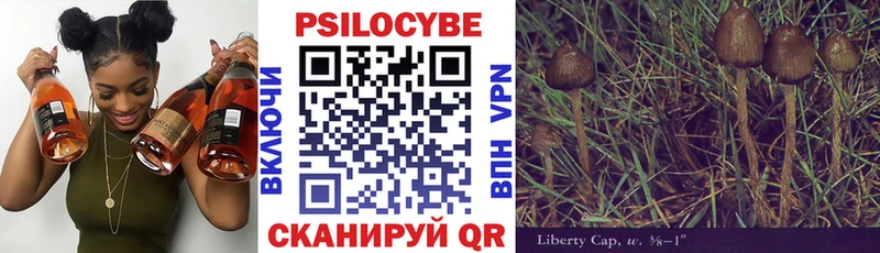 Псилоцибиновые грибы Magic Shrooms  цена   Касимов 